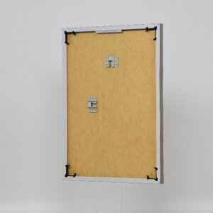Ефектна пластикова рамка Art platinum 50x100 см прозоре скло