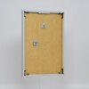 Ефектна пластикова рамка Art alulike 50x100 см прозоре скло