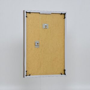 Эффектная пластиковая рама Art platinum 50x75 см прозрачное стекло